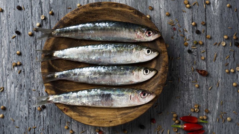 Ferias Gastronómicas de España