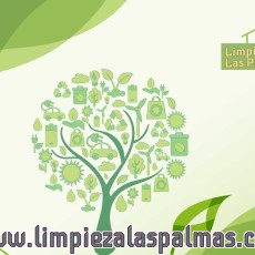 limpieza_empresa